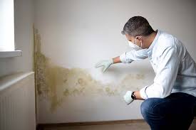 Mold Removal for HVAC Installations in Clayton, GA